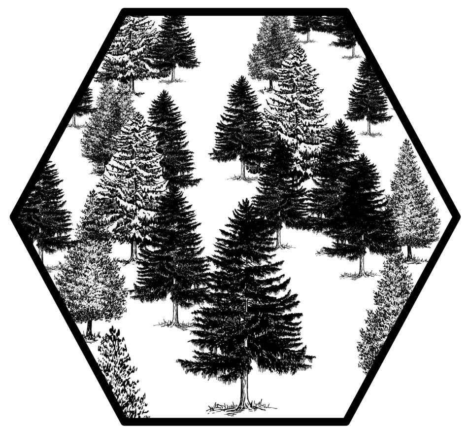 Merry Hexmas: The Christmas Tree Forest